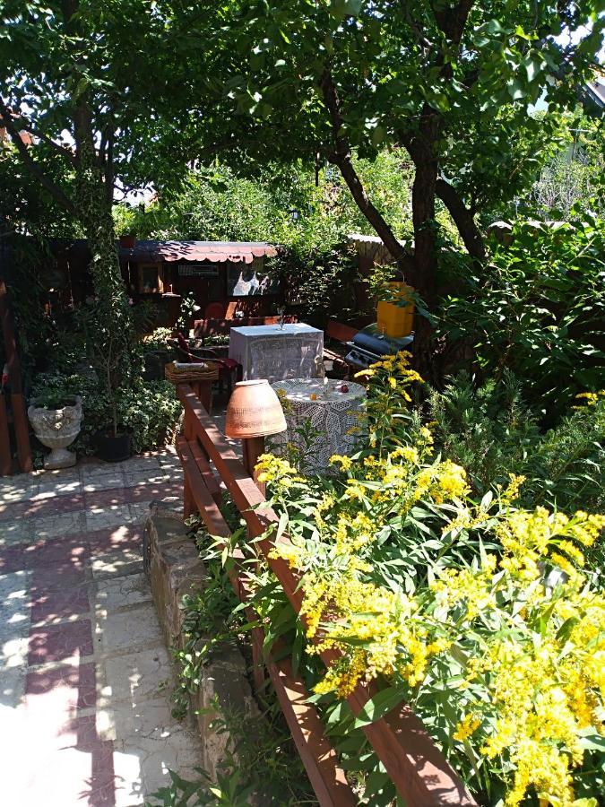 Durmitor Apartment Kumanovo Luaran gambar