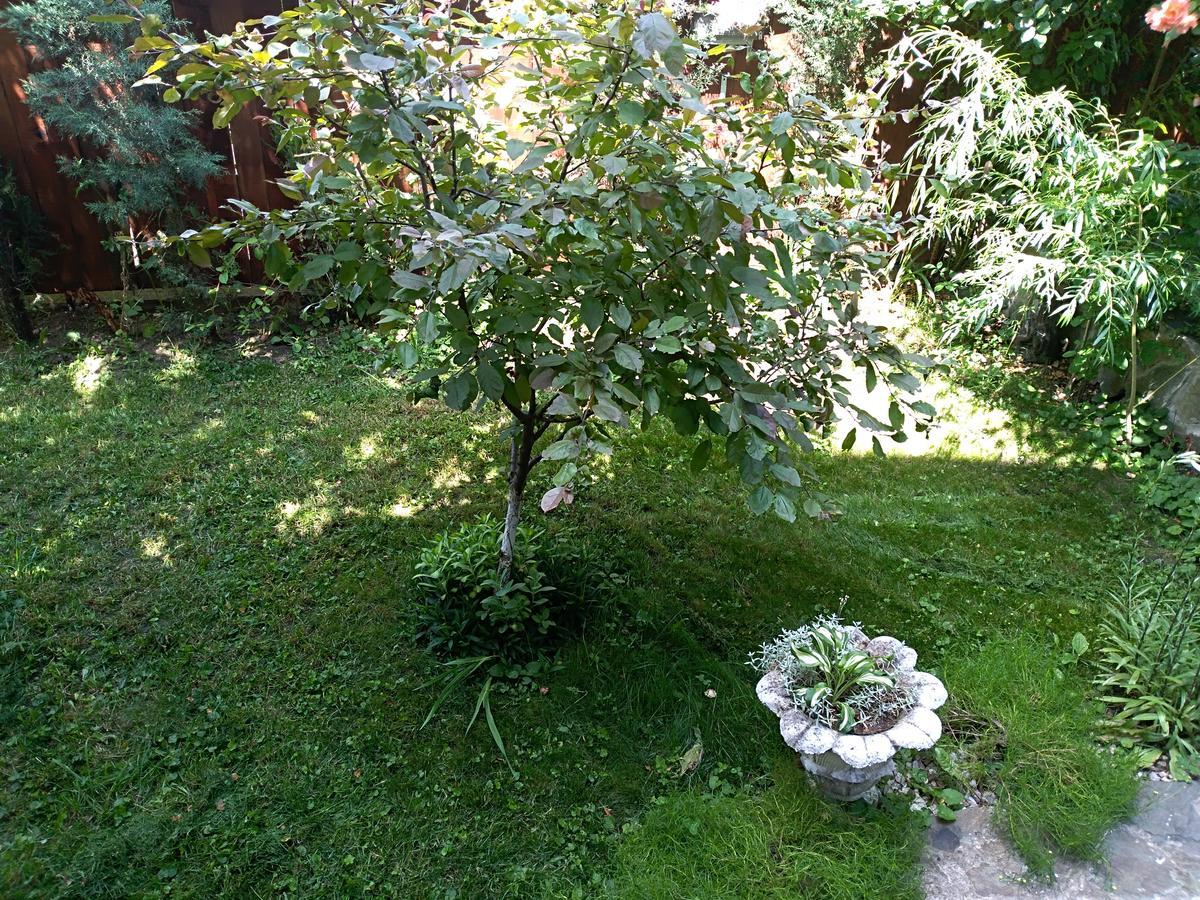 Durmitor Apartment Kumanovo Luaran gambar