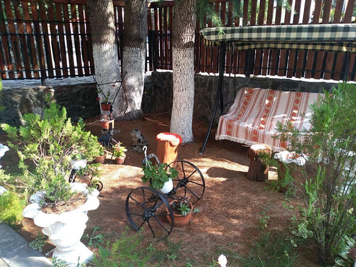 Durmitor Apartment Kumanovo Luaran gambar