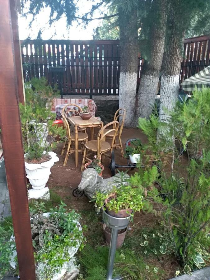 Durmitor Apartment Kumanovo Luaran gambar